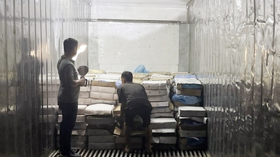 Bắt giữ vụ vận chuyển gần 3,3 tấn chân gà không rõ nguồn gốc