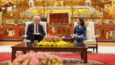 សាកលវិទ្យាល័យស៊ីដនីចង់ពង្រឹងកិច្ចសហប្រតិបត្តិការស្រាវជ្រាវជាមួយរដ្ឋធានីហាណូយ