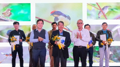 ពិធីប្រគល់រង្វាន់នៃការប្រកួតរូបថត "Da Nang"
