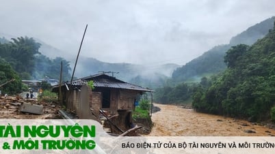 Hơn 50% diện tích có nguy cơ trượt lở đất đá nguy hiểm