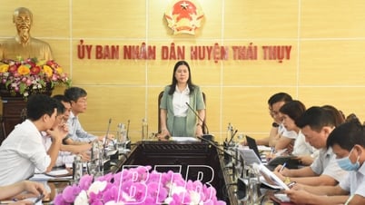 Kiểm tra công tác quản lý nhà nước về an toàn thực phẩm tại huyện Thái Thụy