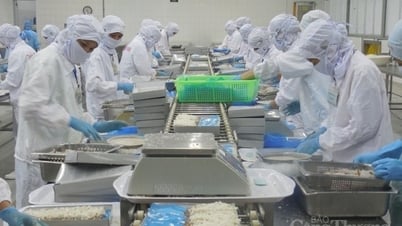 Central Highlands strengthens implementation of free trade agreements
