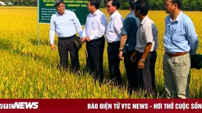 ប្រតិភូក្រសួងកសិកម្ម និងអភិវឌ្ឍន៍ជនបទ ធ្វើការនៅសហករណ៍ផាត់តៃ
