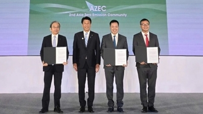 Trường Thành Việt Nam, TEG và Tokyo Gas hợp tác phát triển dự án điện gió triệu đô