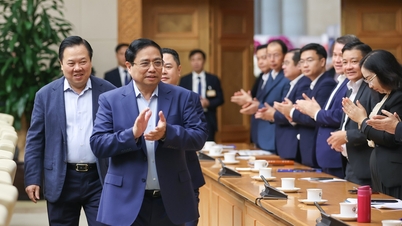 Từ chỉ đạo của Chính phủ, gạo Việt Nam đã thắng áp đảo, xuất khẩu kỷ lục