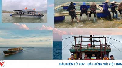 Going offshore contributes to firmly protecting sea and island sovereignty