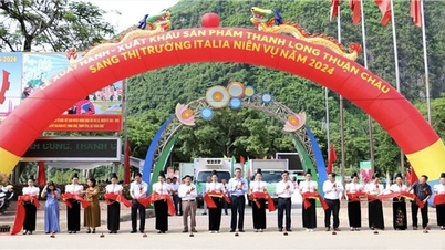 Son La៖ ការ​នាំ​ចេញ​ផ្លែ​ស្រកានាគ​ក្រហម​ចំនួន ៥ តោន​ទៅ​ទីផ្សារ​អ៊ីតាលី