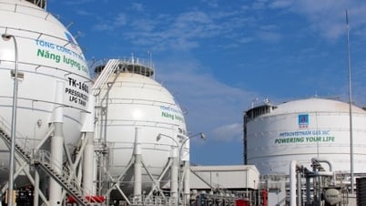 ក្រុមហ៊ុន PV GAS ចំណាយ 13,780 ពាន់លានដុង ដើម្បីបង់ភាគលាភជាសាច់ប្រាក់