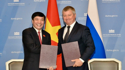 Improving advisory capacity for the activities of the National Assembly of Vietnam and the Russian Federation