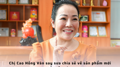 ដំណើរនៃការនាំយក "មាសសុទ្ធ" នៃដង្កូវនាងខ្សាច់ចូលទៅក្នុងទឹកត្រី Van Don
