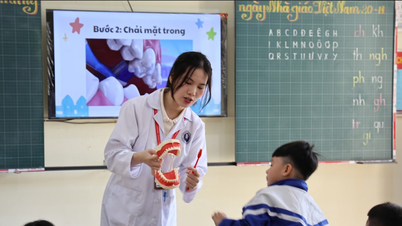 Bringing 'Happy School' to teachers and students in Nghe An