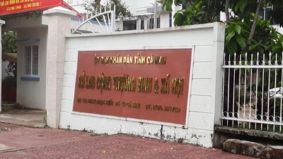 Doanh nghiệp nợ bảo hiểm 185 tỷ đồng, Cà Mau có giải pháp "nóng"