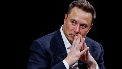 Billionaire Elon Musk's role in Trump's future administration