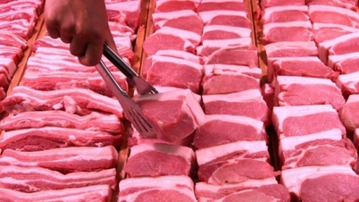 Giá heo hơi Việt Nam đang cao hơn Thái Lan khoảng 10.000 đồng/kg