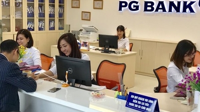 PG Bank đón 3 cổ đông lớn sau khi Petrolimex thoái sạch vốn