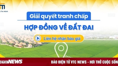 ក្រុមហ៊ុនមេធាវី Tin Minh ប្រឹក្សាយោបល់ និងឆ្លើយសំណួរអំពីវិវាទដីធ្លី