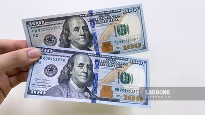 Cập nhật tỷ giá ngoại tệ, tỷ giá VND/USD, tỷ giá USD chợ đen hôm nay 5.2