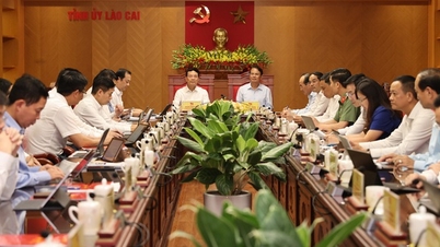 Chuyển đổi số sẽ giải bài toán “thiên niên kỷ” của Lào Cai