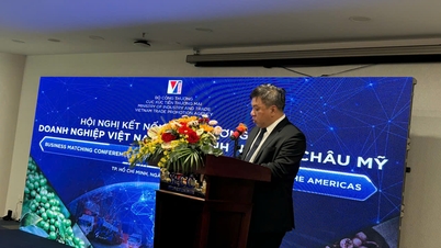Chuyển đổi xanh trong sản xuất nông sản, thực phẩm thúc đẩy xuất khẩu sang Liên minh Châu Âu