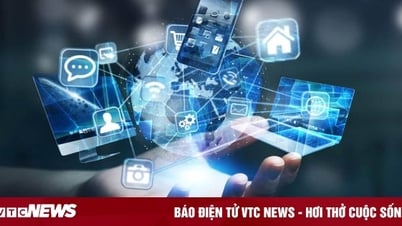 100% các bộ, ngành, địa phương có chuyên trang, chuyên mục về chuyển đổi số