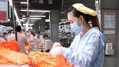 Thanh Cong Textile ត្រូវបានពិន័យជាប្រាក់ជាង 1.7 ពាន់លានសម្រាប់ការបំពានផ្នែករដ្ឋបាលចំនួន 9 ។