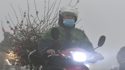 Dự báo thời tiết 6/2/2024: Miền Bắc vẫn sương mù ẩm, trưa hửng nắng