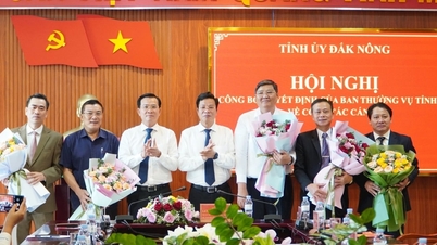 តែងតាំងអនុប្រធានអចិន្ត្រៃយ៍នៃគណៈកម្មាធិការប្រជាជនខេត្ត Dak Nong កាន់មុខតំណែងថ្មី។