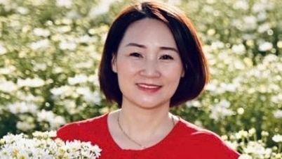 Nữ PGS duy nhất ngành Luyện kim 2024 là giám đốc chương trình đào tạo tại trường thuộc ĐH Bách khoa Hà Nội