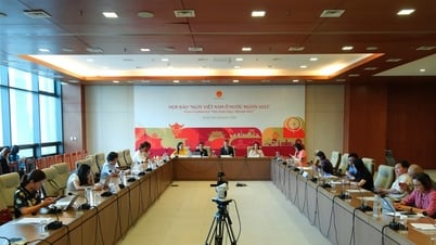 “Ngày Việt Nam ở nước ngoài 2023” - Mang hình ảnh Việt Nam đến với Nam Phi, Pháp và Nhật Bản