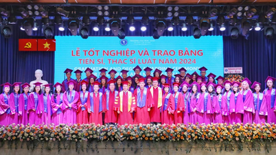 សាកលវិទ្យាល័យច្បាប់ទីក្រុងហូជីមិញ បណ្តុះបណ្តាលបណ្ឌិតផ្នែកច្បាប់អន្តរជាតិ