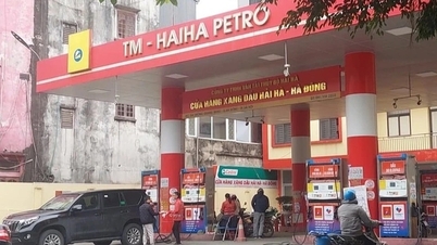 Ministry of Industry and Trade revokes Hai Ha Petro's petroleum business license