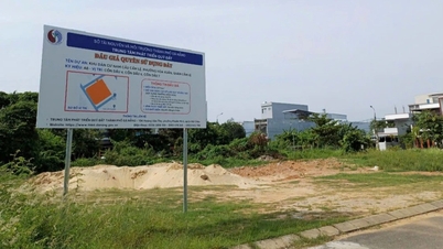 Revealing the business that won the auction for the "golden land" lot of nearly 2,300m2 in Da Nang