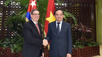 គុយបាអរគុណវៀតណាមយ៉ាងជ្រាលជ្រៅចំពោះការគាំទ្ររបស់ខ្លួន។
