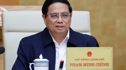 The Government discussed ending the activities of the "super committee", organizing the General Statistics Office apparatus.