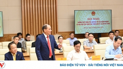 Sứ mệnh doanh nghiệp tư nhân lớn trước “Kỷ nguyên vươn mình của dân tộc”