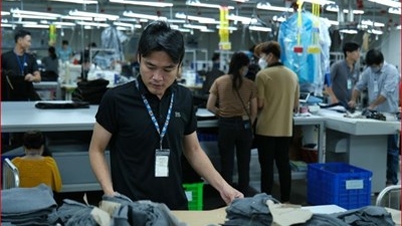 EU, 섬유 폐기물 제한 및 기업에 대한 주의 사항