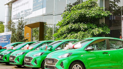 Tập đoàn Mai Linh công bố chính thức cắt lỗ