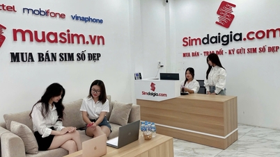 Kinh nghiệm chọn mua sim số đẹp phù hợp từng nhu cầu