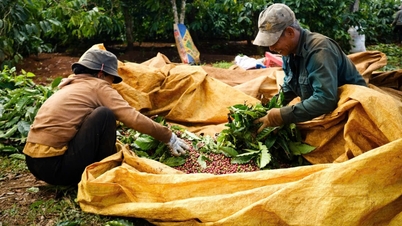 តម្លៃ​កាហ្វេ​ឡើង​ថ្លៃ​បន្តិច​ទៀត។