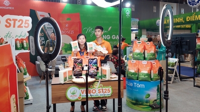 ពាណិជ្ជកម្មអេឡិចត្រូនិចនៃទីក្រុង។ ទីក្រុងហូជីមិញ កើនឡើង ៥២%
