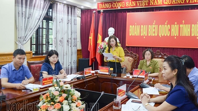 Đại biểu Quốc hội tỉnh chất vấn Bộ trưởng Bộ Tư pháp về sự thiếu đồng bộ, mâu thuẫn văn bản pháp luật