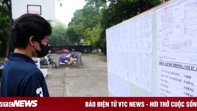 Illegal 10th grade enrollment: Hanoi Department of Education and Training requests students to transfer schools