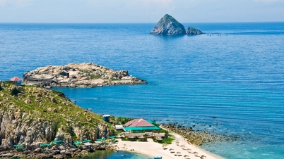 Notes to choose to buy quality Khanh Hoa bird's nest