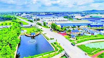 Tăng trưởng xanh: Doanh nghiệp cần làm gì?
