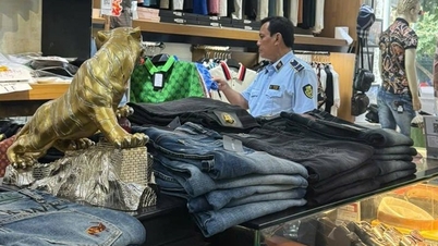 Hai Phong temporarily seized hundreds of counterfeit branded clothing products