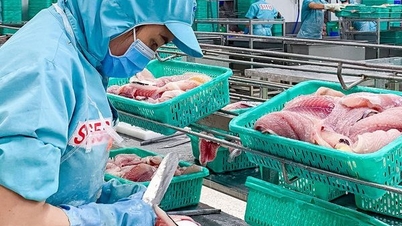 Đề nghị nâng mức giảm phí thẩm định điều kiện kinh doanh