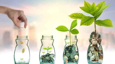 Week from June 24 to 28, 43 businesses finalized dividend payments
