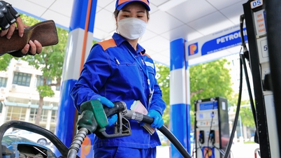 Bộ Tài chính trình phương án giảm mạnh thuế bảo vệ môi trường xăng dầu 