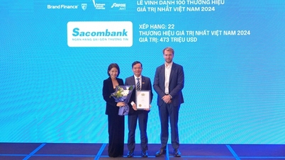 Brand Finance: Sacombank vào top 22 thương hiệu giá trị nhất Việt Nam