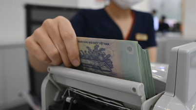 Mức tham chiếu đóng bảo hiểm xã hội theo luật mới